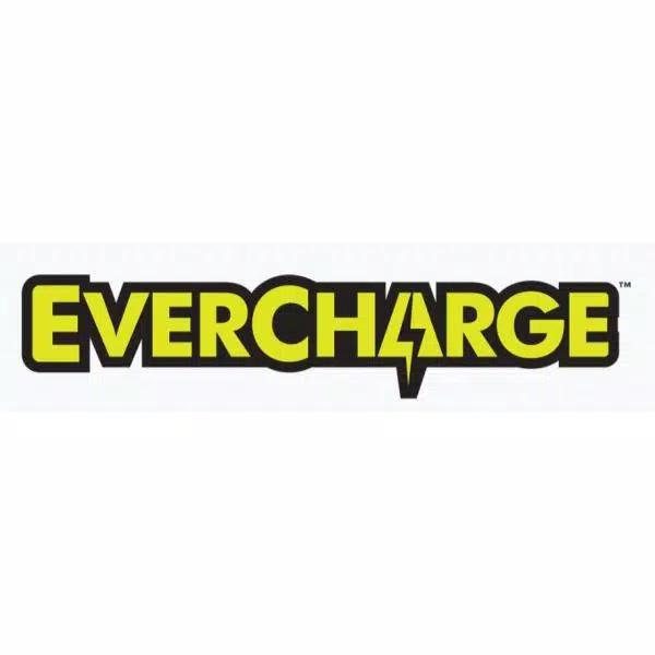 RYOBI 18V ONE+ 2 Amp Fast EVERCHARGE Charger for P7181 and P724 Stick Vacs
