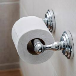 Speakman Refresh Single Post Toilet Paper Holder, Polished Chrome thumbnail 2