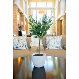 Flora Bunda 28 in. Faux Olive Tree in Gray Cement Pot thumbnail 2