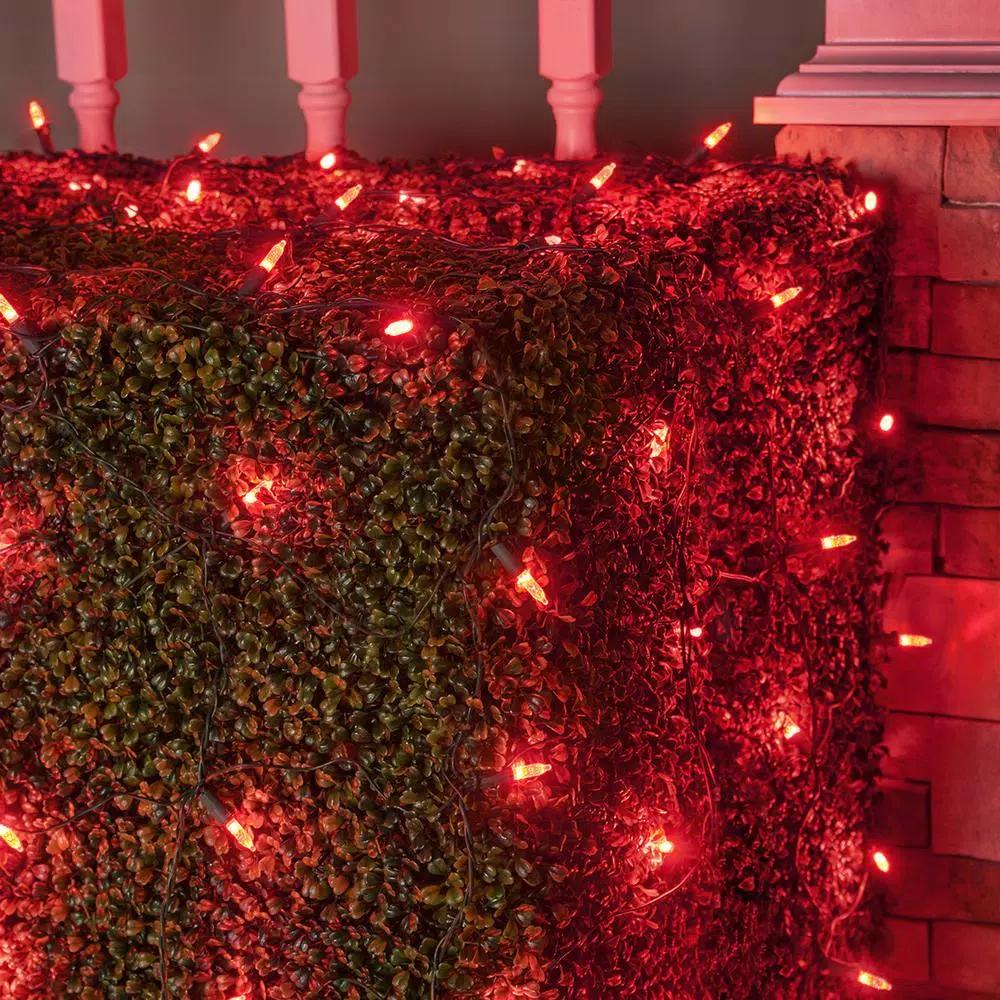 Wintergreen Lighting 48 in. x 72 in. 100-Light M5 Red LED Net Light Set