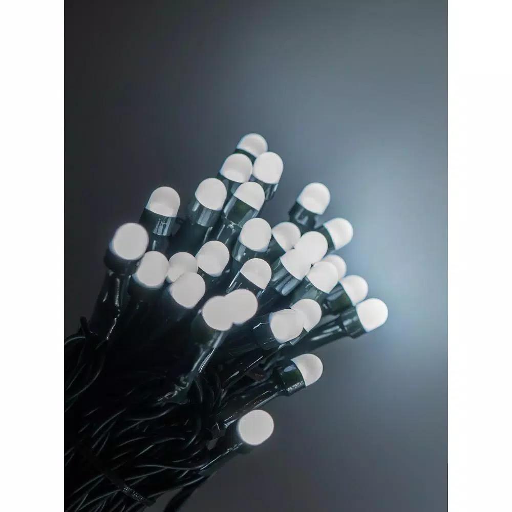 Novolink 200 LED Mini Globe Cool White String Lights with Wireless Smart App Control, 50 ft.