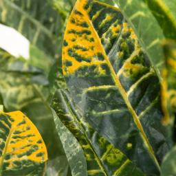 Zentique Faux Green and Yellow Tipped Leafed Potted House Plant, 34.5 in. thumbnail 3
