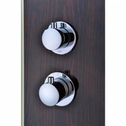ANZZI Pure 59 in. 3-Jet Full Body Shower Panel System, Mahogany Deco-Glass with Heavy Rain Head & Handheld Sprayer thumbnail 7