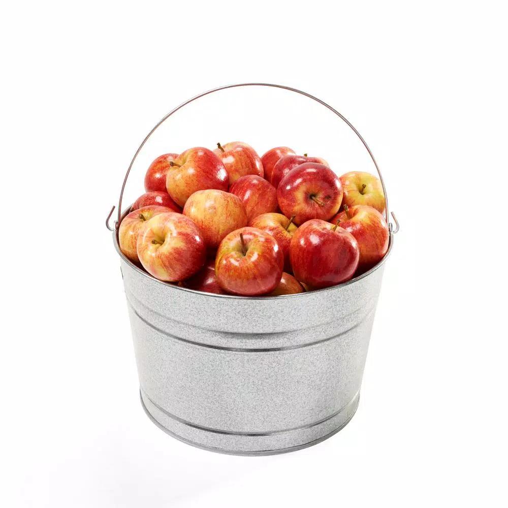Behrens 4.25 Gal. Hot Dipped Galvanized Steel Pail, Silver
