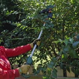 Scotts 7.2V Cordless Telescoping Pole Pruner with 2 Ah Battery and Charger thumbnail 5