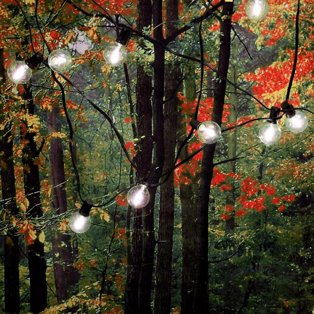 LUMABASE 25 LED White Globe String Lights with Warm Filament Bulbs, 25 ft. Weather Resistant Outdoor/Indoor Decor