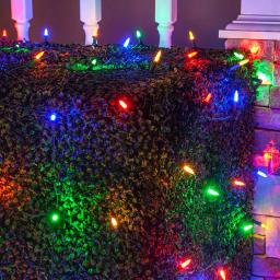 Wintergreen Lighting 48 in. x 72 in. 100-Light M5 Multi-Color LED Net Light Set thumbnail 2
