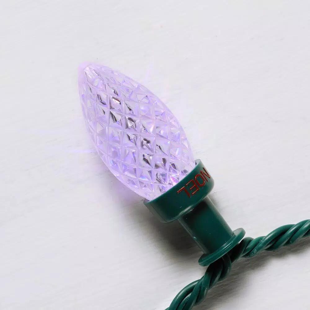 LightShow ColorMotion 24-Light Multi-Color Deluxe C9 LED Christmas String Lights