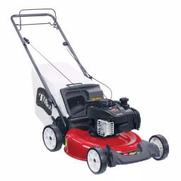 Toro Recycler 21 in. Self-Propelled Gas Lawn Mower with Briggs and Stratton Engine, Bagging & Mulching thumbnail 1