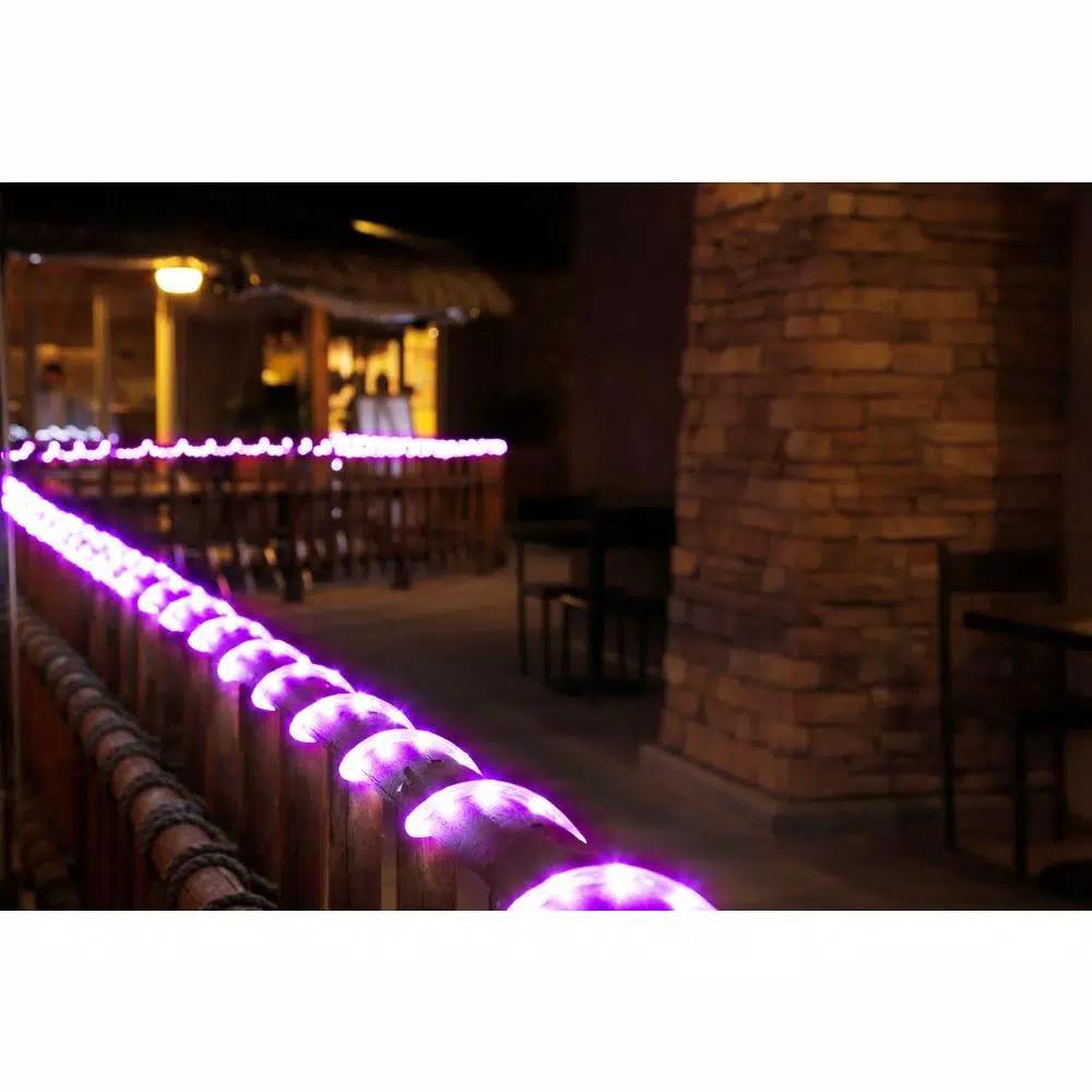 DEERPORT DECOR 16 ft. 108-Light Purple LED Rope Light, 360° Continuous Shine, Indoor/Outdoor Weather Resistant