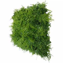 Greensmart Decor Artificial Maya Wall Panels, 20 in. x 20 in. (Set of 4) thumbnail 6