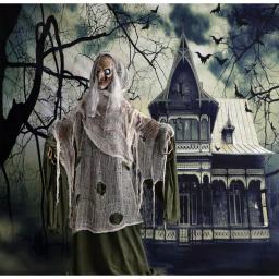 Haunted Hill Farm 5 ft. Animatronic Talking Evil Witch Halloween Prop thumbnail 10