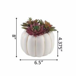 Flora Bunda 8 in. Fall Harvest Artificial Succulent Arrangement in Cream Pumpkin Pot with Gold Accents thumbnail 2