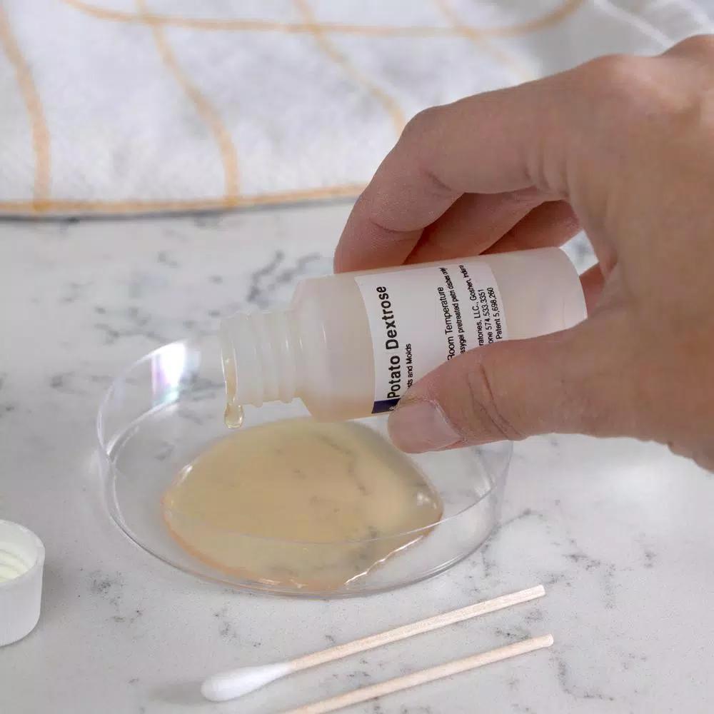 MOLD ARMOR Do It Yourself Mold Test Kit - Indoor Air Quality & Surface Sampling