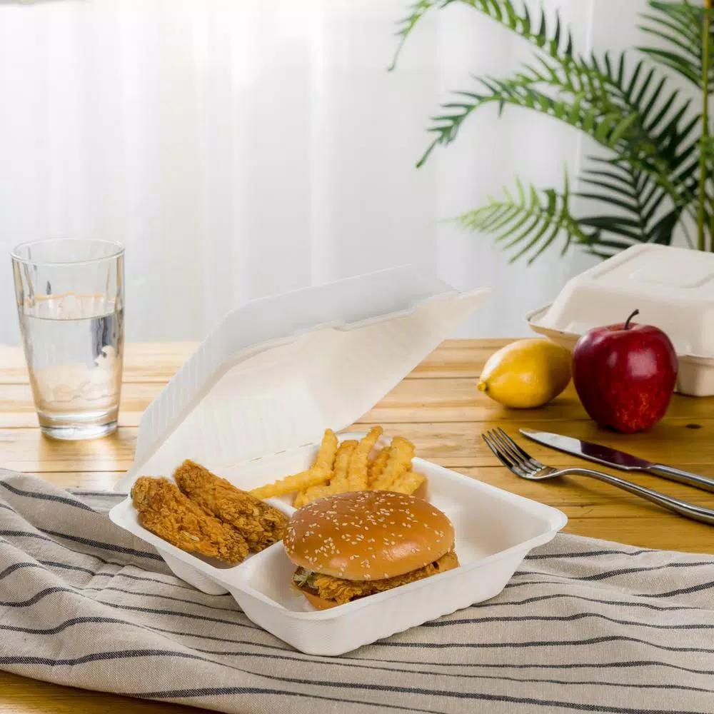 Unbranded 10 in. White Sugarcane 3-Compartment Clamshell Containers, Biodegradable Sectional Food Trays (300 Pack)