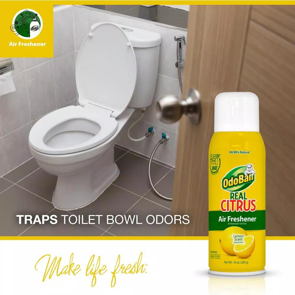 OdoBan Real Citrus Lemon Air Freshener Spray, 10 oz.
