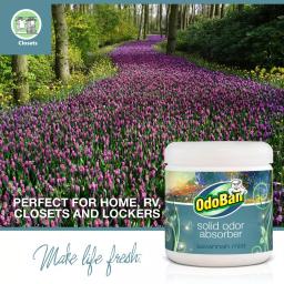 OdoBan Savannah Mist Solid Odor Absorber Gel, 14 oz. thumbnail 2