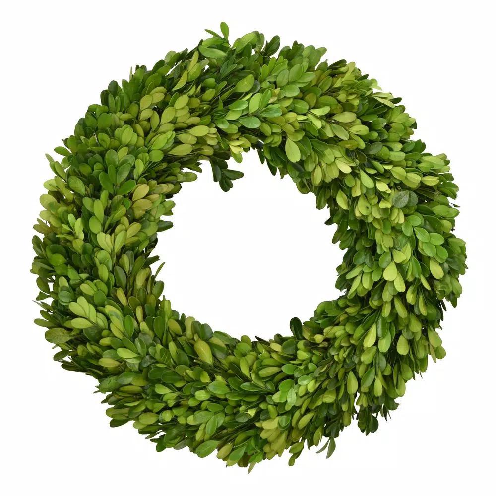 Unbranded 12 in. Preserved Boxwood Ball Topiary - Bright Green