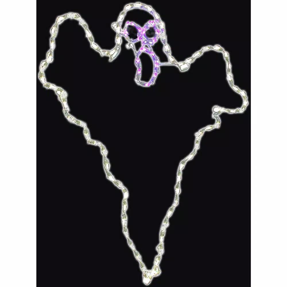 Haunted Hill Farm 48 in. x 40 in. Scary Ghost LED Halloween Indoor/Outdoor Light