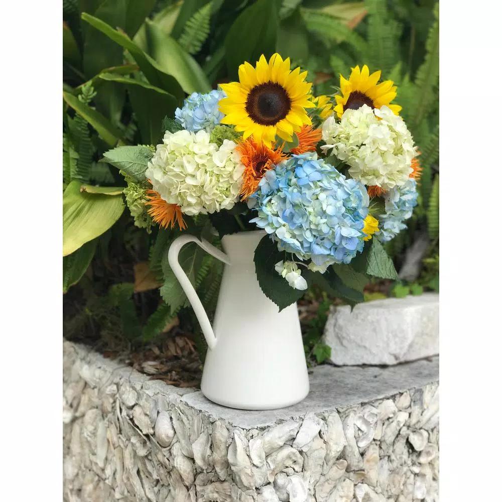 Golden Rabbit 3 Qt. White Enamelware Pitcher, Porcelain-Enameled Steel