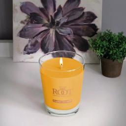 ROOT CANDLES A.I. Root Veriglass Tangerine Lemongrass Scented Soy & Beeswax Jar Candle thumbnail 1