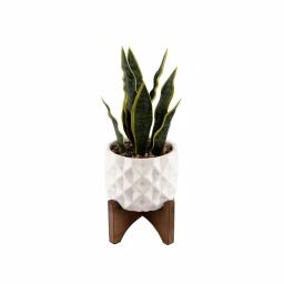 Flora Bunda 12.5 in. Faux Snake Plant in White Dimple Pattern Ceramic Pot with Wood Stand thumbnail 1