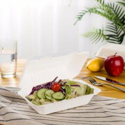 Unbranded 9 in. White Sugarcane Clamshell Containers, Biodegradable & Compostable (300 Pack) thumbnail 5