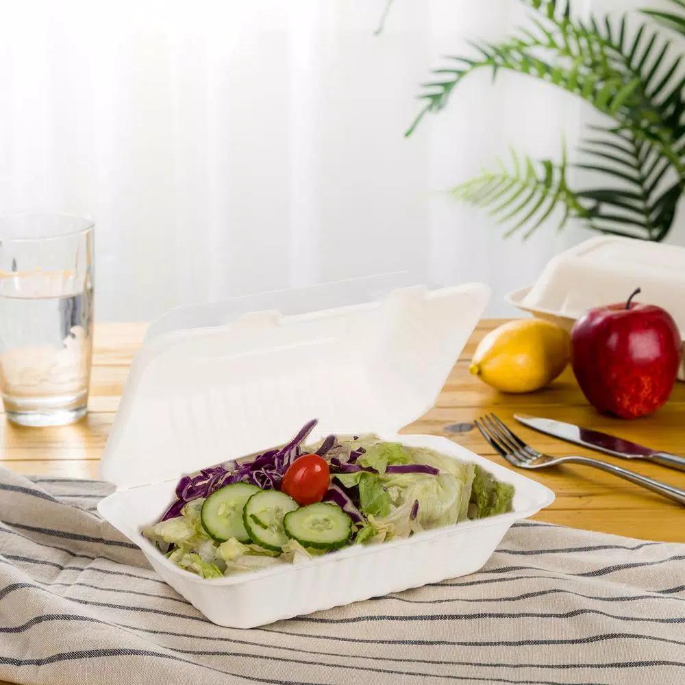 Unbranded 9 in. White Sugarcane Clamshell Containers, Biodegradable & Compostable (300 Pack)