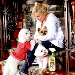 Simple Green Bio Dog Pet Stain and Odor Remover, 32 oz (12-Case Pack) thumbnail 3
