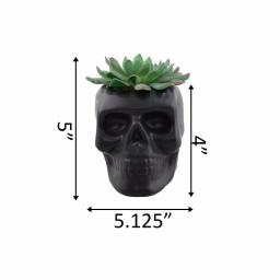 Flora Bunda 4.5 in. x 3.5 in. Artificial Succulent in Matte Black Ceramic Sugar Skull Planter thumbnail 2