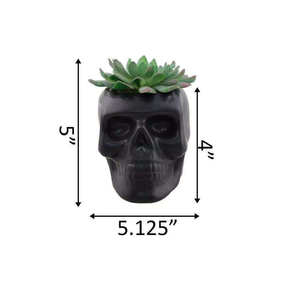 Flora Bunda 4.5 in. x 3.5 in. Artificial Succulent in Matte Black Ceramic Sugar Skull Planter