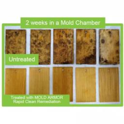Mold Armor Rapid Clean Remediation Mold Remover & Disinfectant, 2.5 Gallon thumbnail 2