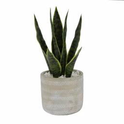 Flora Bunda 12 in. Faux Snake Plant in 4.75 in. Arrow Pattern Cement Planter thumbnail 1