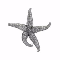IMAX Magali Silver Starfish Wall Decor Set of 3 - Distressed Gray Polystone Sculptures thumbnail 4