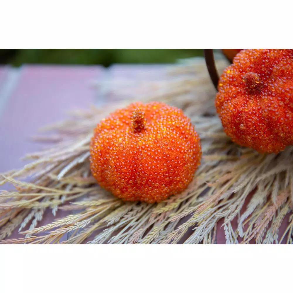 Flora Bunda 8-Piece Dark Orange Beaded Mini Pumpkin Set - 3 in. Fall Harvest Tabletop Decor