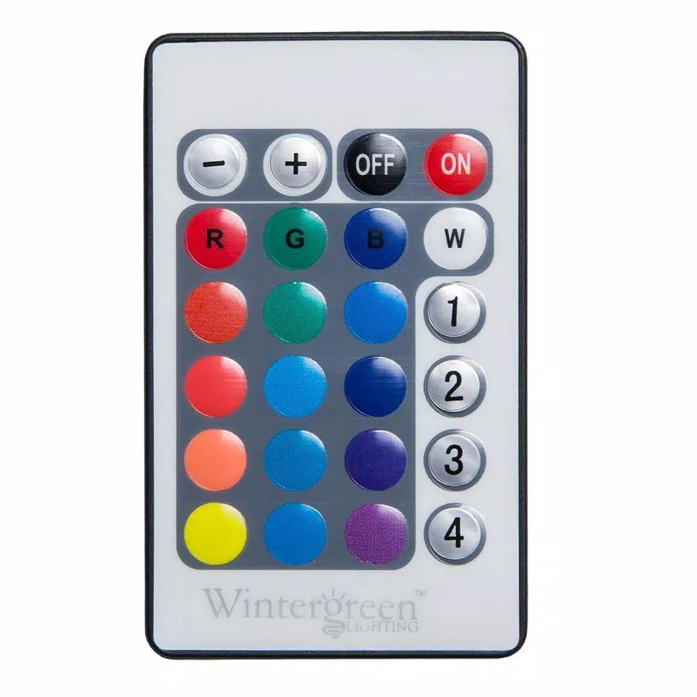 Wintergreen Lighting 7.5 in. 120-Light RGB Color Changing LED Starlight Sphere with Remote