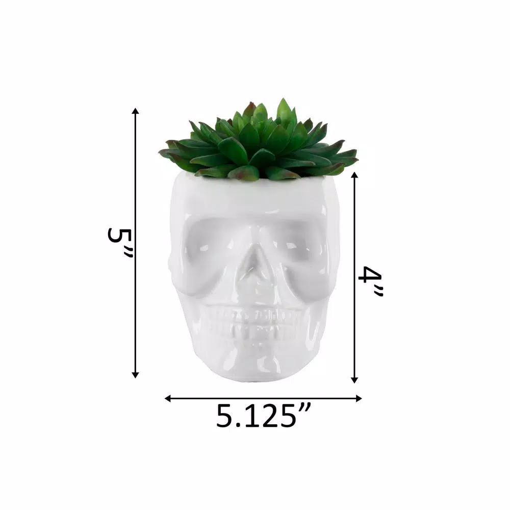 Flora Bunda White Ceramic Sugar Skull Succulent Planter with Artificial Plant, 4.5 x 3.5 in.