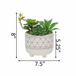 Flora Bunda 6 in. White and Black Geometric Ceramic Footed Planter with Faux Succulent Mix thumbnail 2
