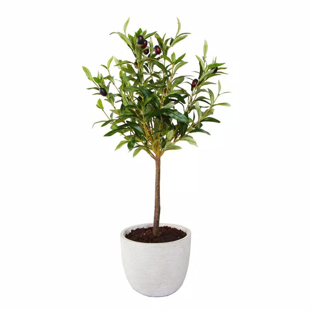 Flora Bunda 28 in. Faux Olive Tree in Gray Cement Pot
