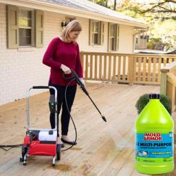 Mold Armor Multi-Purpose Pressure Washer Cleaner, 1 Gallon (2-Pack) thumbnail 11