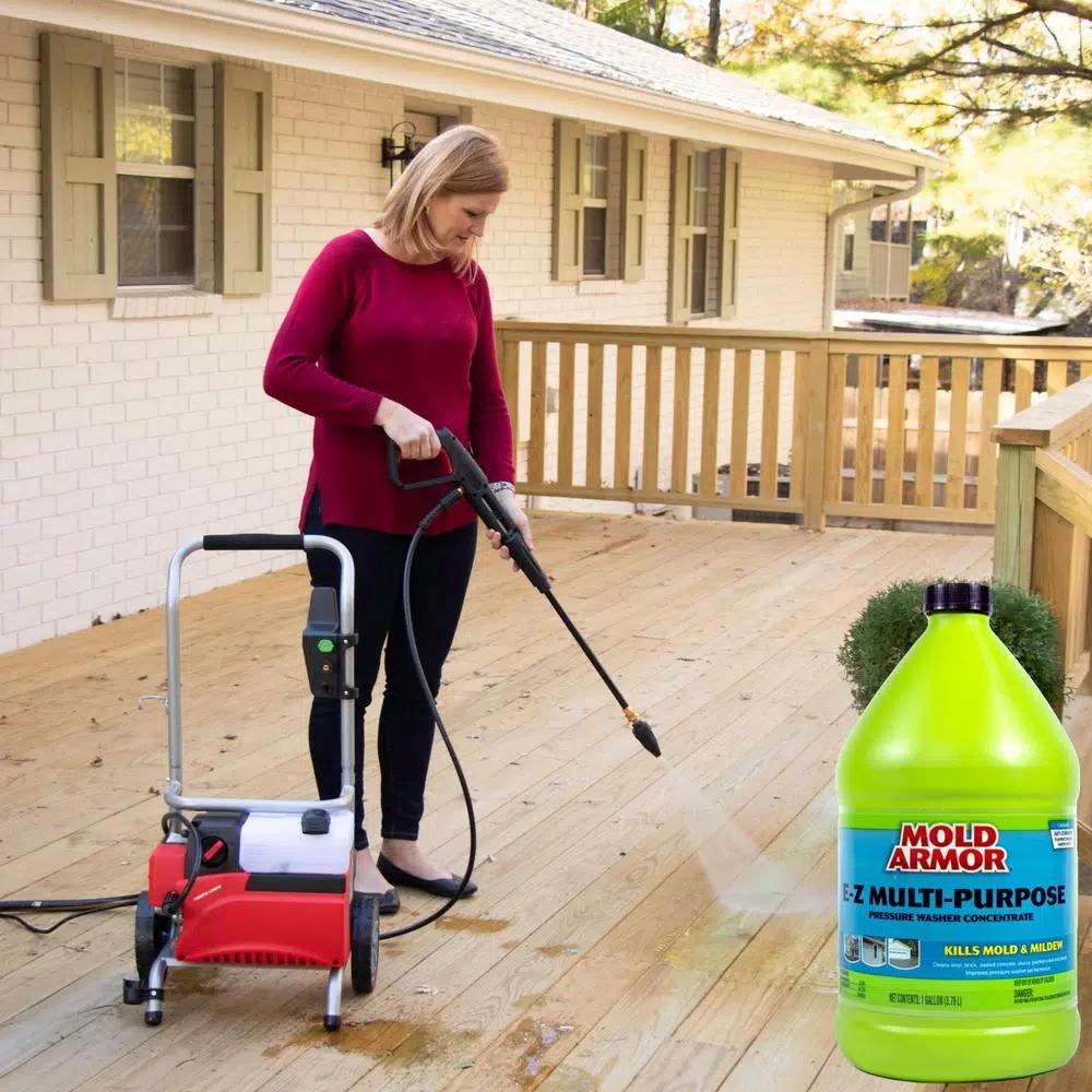 Mold Armor Multi-Purpose Pressure Washer Cleaner, 1 Gallon (2-Pack)
