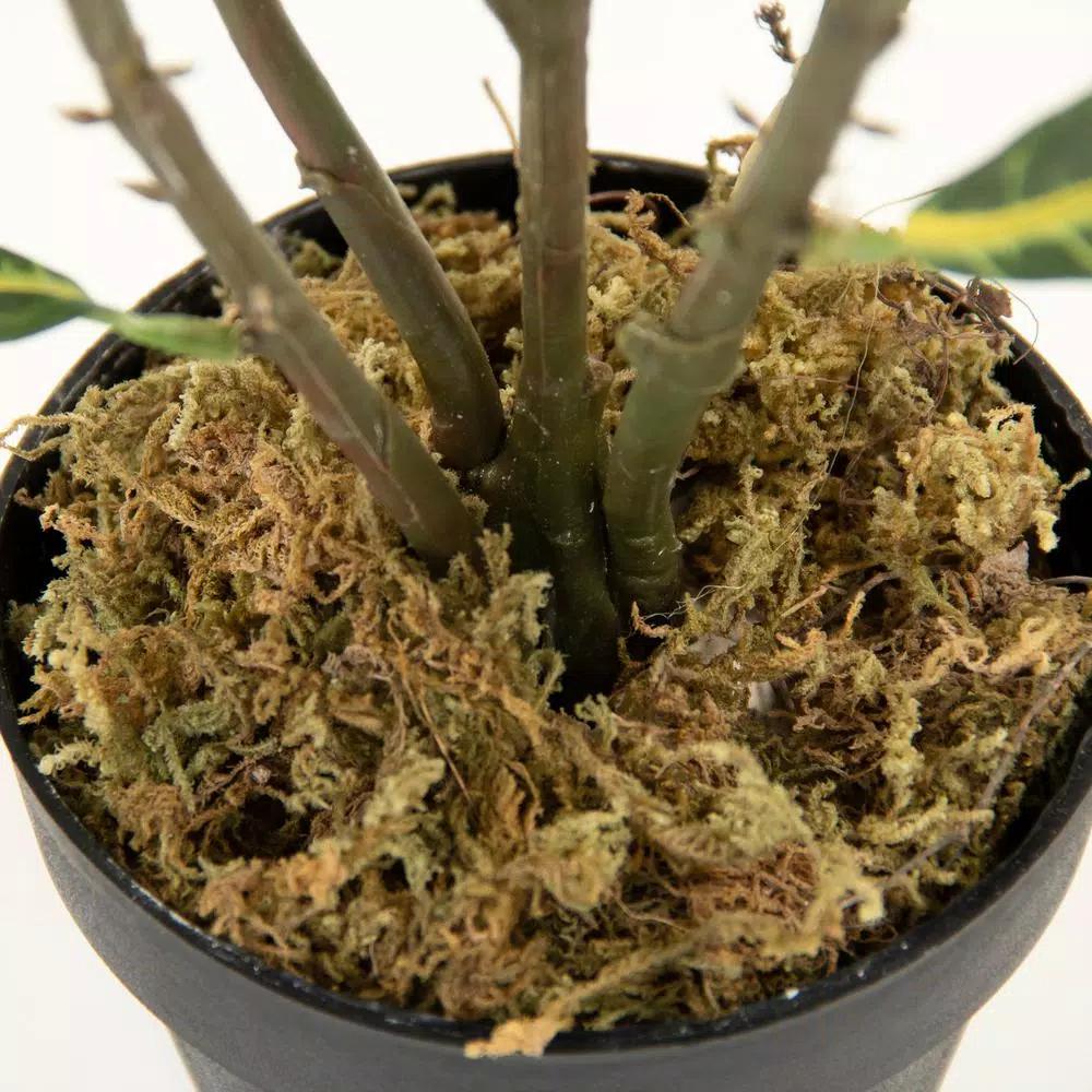 Zentique Faux Green and Yellow Tipped Leafed Potted House Plant, 34.5 in.