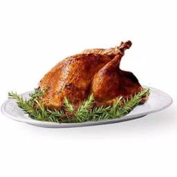 Ovente 13.4 in. White Ceramic Turkey Serving Platter, Oval Holiday Platter thumbnail 6