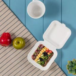 Unbranded 6 in. White Sugarcane Clamshell Containers, Compostable & Eco-Friendly (300 Pack) thumbnail 4