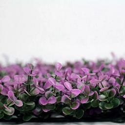 Ejoy GorgeousHome Artificial Boxwood Hedge Greenery Panels, 20 x 20 in., UV Protected, 12-Pack thumbnail 5