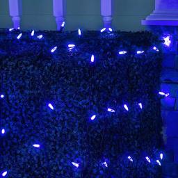 Wintergreen Lighting 48 in. x 72 in. 100-Light M5 Blue LED Net Light Set thumbnail 2