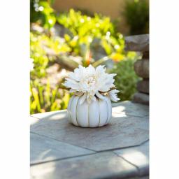 Flora Bunda 5.75 in. Cream White Faux Chrysanthemum Arrangement in Ceramic Pumpkin Pot with Gold Trim thumbnail 6