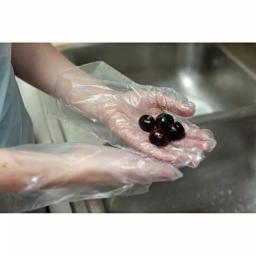 Bison Life KLEEN CHEF Disposable HDPE Food Handling Gloves, Long Cuff, 525 Count thumbnail 4
