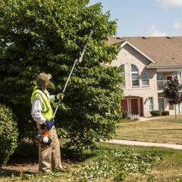 ECHO HCA-2620 X Series 21 in. Gas Hedge Trimmer, 25.4 cc 2-Stroke Engine thumbnail 3