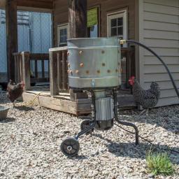Sportsman Series 3/4 HP Stainless Steel Electric Chicken Plucker thumbnail 2